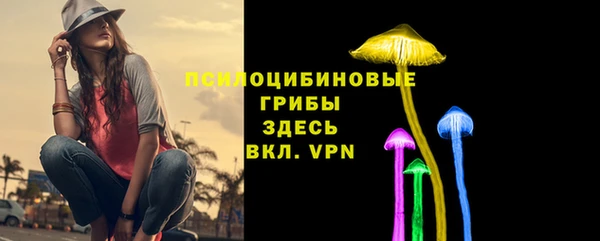 2c-b Кинешма