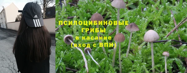 2c-b Кинешма