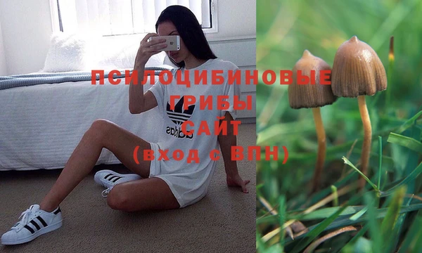 2c-b Кинешма
